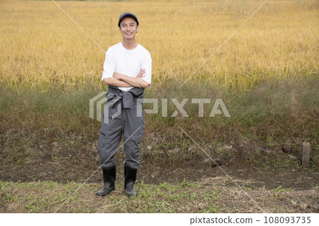 golden rice and rice farmer man 108093735