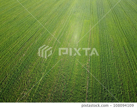 Green agricultural field, aerial view. Farmland landscape. Background. Green agricultural field, aerial view. Farmland landscape. Background. 108094109