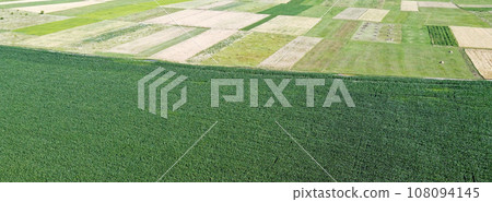 Farmfields from a bird's eye view. Crops of corn, landscape. 108094145