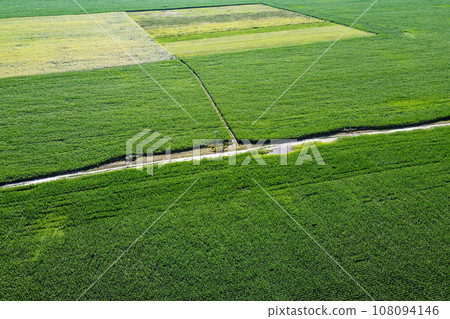 Extensive corn fields, top view. Green farm fields, landscape. Extensive corn fields, top view. Green farm fields, landscape. 108094146