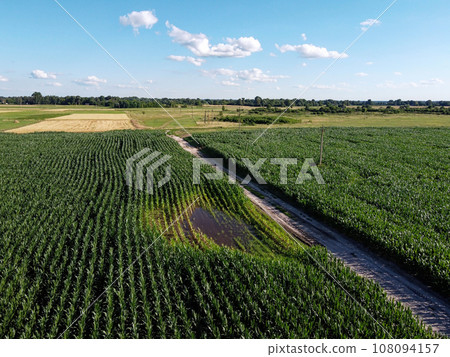 Huge cornfield on a sunny summer day, aerial view. Blue sky over green farm field, landscape. Huge cornfield on a sunny summer day, aerial view. Blue sky over green farm field, landscape. 108094157