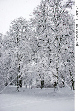 Snow covered trees. Winter landscape, snowy blizzard. Snow covered trees. Winter landscape, snowy blizzard. 108094232