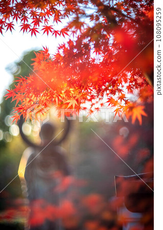 The silhouette of Mizuko Jizo standing in the midst of bright red autumn leaves and a swirl of autumn light at Myoshinji Temple and Taizoin in autumn. 108095259