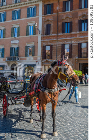 horse in the square in Rome 108095583