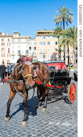 horse in the square in Rome 108095585