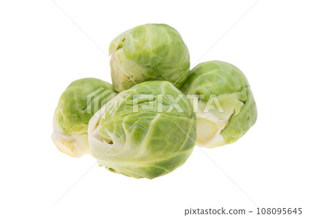 Brussels sprouts isolated 108095645