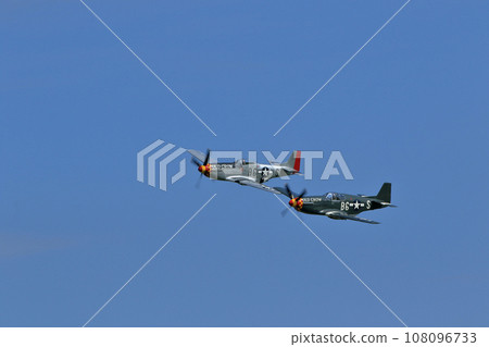 P-51D 野馬編隊飛行 108096733