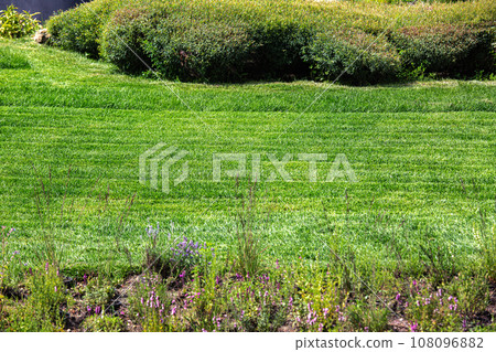 green trimmed lawn, landscaping with bushes and a flowering flower bed on a sunny summer day. 108096882