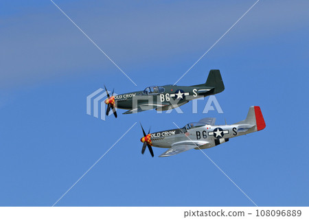 P-51D 野馬編隊飛行 P-51D 野馬編隊飛行 108096889