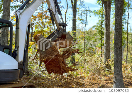 Skid steer remove roots land clearing for housing a complex construction site 108097083