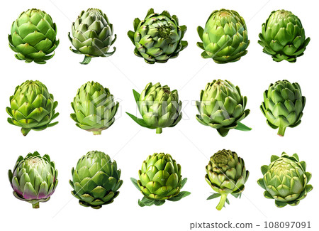 Artichoke vector set isolated on white background 108097091