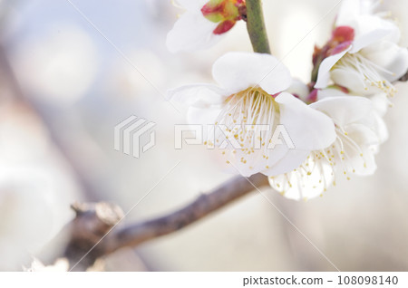 某天看到的梅林公園 某天看到的梅林公園 108098140