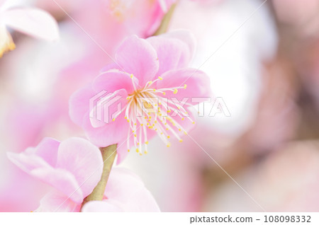 Umebayashi Park I saw someday Umebayashi Park I saw someday 108098332