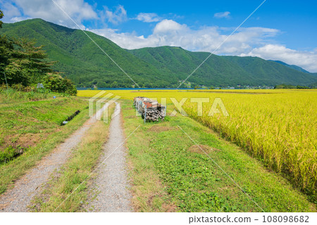 Farm road and rice fields [Lake Kizaki] 108098682
