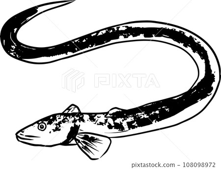 Sumi-e Japanese style illustration of eel 108098972