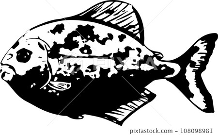 食人魚 sumi-e 日式插畫 108098981