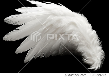 White angel or bird wing on black background 108099704