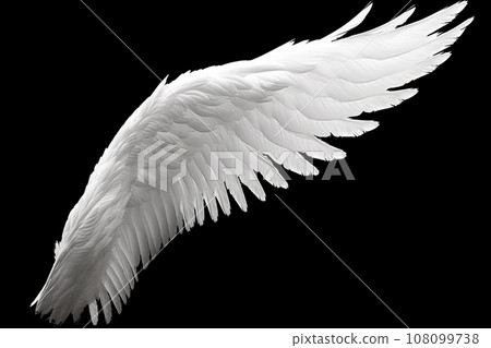 White angel or bird wing on black background 108099738