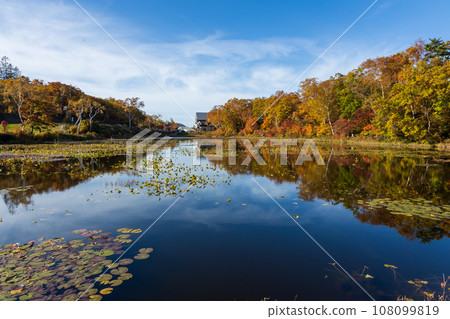 志賀高原秋高氣爽,荷塘水鏡 志賀高原秋高氣爽,荷塘水鏡 108099819