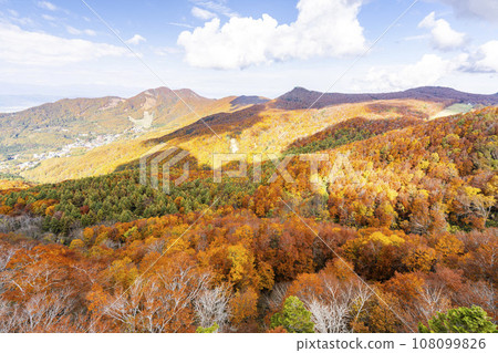 山形藏王秋天,藏王山脈秋葉景觀,山形縣山形市 山形藏王秋天,藏王山脈秋葉景觀,山形縣山形市 108099826