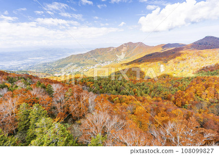 山形藏王秋天,藏王山脈秋葉景觀,山形縣山形市 山形藏王秋天,藏王山脈秋葉景觀,山形縣山形市 108099827