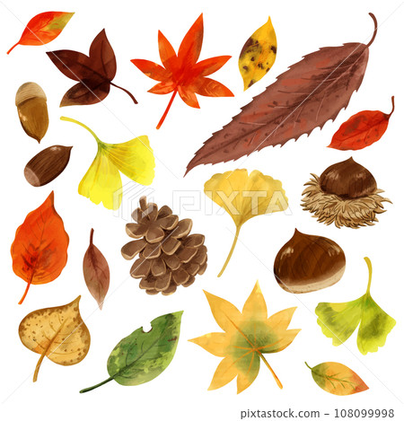 Fallen leaves illustration set 108099998