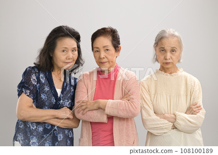 憤怒的高級婦女的肖像 憤怒的高級婦女的肖像 108100189