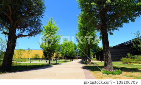 Theme park Theme park 108100709