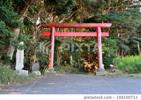 鉾田市/嚴島神社 #1 鉾田市/嚴島神社 #1 108100712
