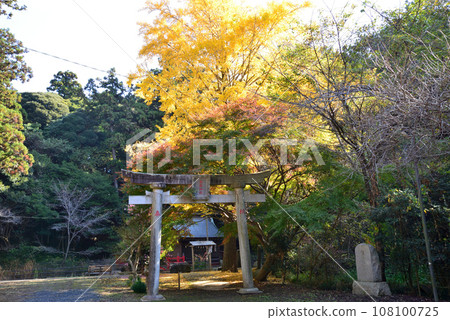 鉾田市/嚴島神社#9 鉾田市/嚴島神社#9 108100725