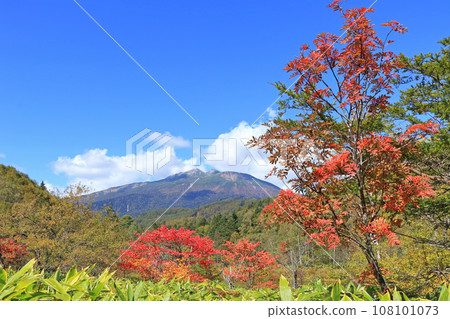 秋天從乃木峠看到的乘鞍山 108101073