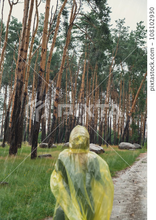 Defocused Back view on carefree woman in yellow raincoat walking in autumn forest enjoying rainy weather outdoors. Female tourist discover park in rainy season. Closeness to nature. Mental healing 108102930