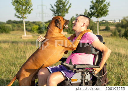 A youthful guy using a wheelchair participates in playful interactions with his dog.  108103255