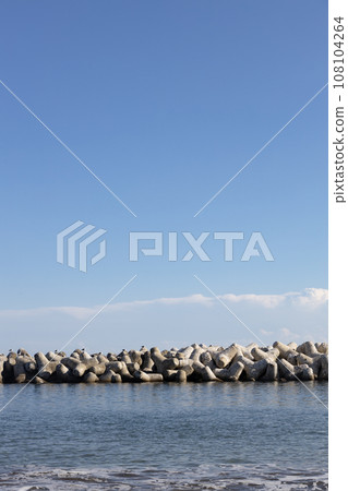 Blue sky, sea, tetrapods and seagulls Blue sky, sea, tetrapods and seagulls 108104264