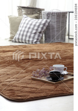 sofa in living room 108104694
