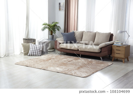 sofa in living room sofa in living room 108104699