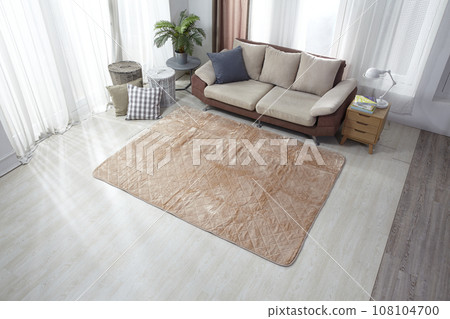 sofa in living room sofa in living room 108104700