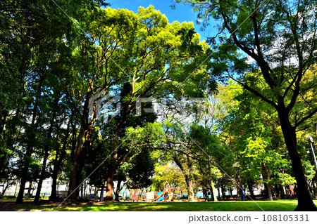都立城北中央公園兒童公園（東京都板橋區） [2023.10] 108105331