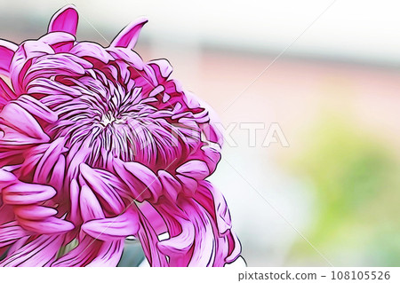 Pastel style “vivid chrysanthemum flower” illustration image 108105526