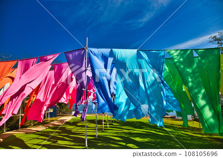 Biwako Hakodateyama with beautiful bright red kochia 108105696