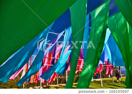 Biwako Hakodateyama with beautiful bright red kochia 108105697