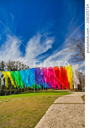 琵琶湖函館山美麗的鮮紅色地膚子 108105714