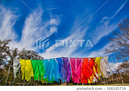 琵琶湖函館山美麗的鮮紅色地膚子 108105716