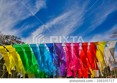 琵琶湖函館山美麗的鮮紅色地膚子 108105717