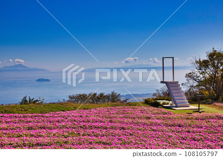 琵琶湖函館山美麗的鮮紅色地膚子 108105797