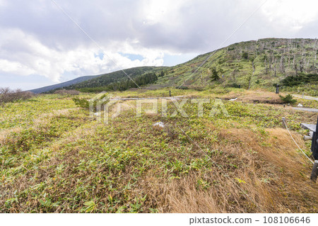 秋天的山形藏王，山形縣山形市山頂的青森冷杉枯萎了 108106646
