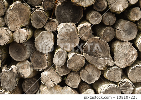 A neatly stacked pile of firewood background A neatly stacked pile of firewood background 108107223