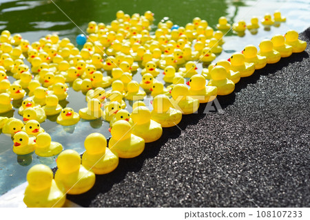 Many bright yellow rubber ducks floating in the pool Many bright yellow rubber ducks floating in the pool 108107233