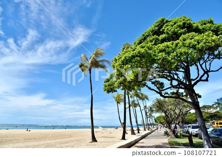 夏威夷的假期 夏威夷的假期 108107721