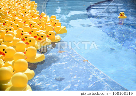 Many bright yellow rubber ducks floating in the pool. Concept of standing out from the crowd and leadership. Many bright yellow rubber ducks floating in the pool. Concept of standing out from the crowd and leadership. 108108119